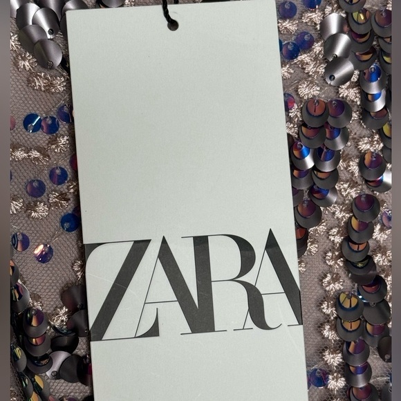 Zara Sequin Midi Skirt - Size XS (SOLD OUT!!!) - Picture 3 of 5
